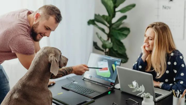 The local SEO checklist every dog business needs in 2026