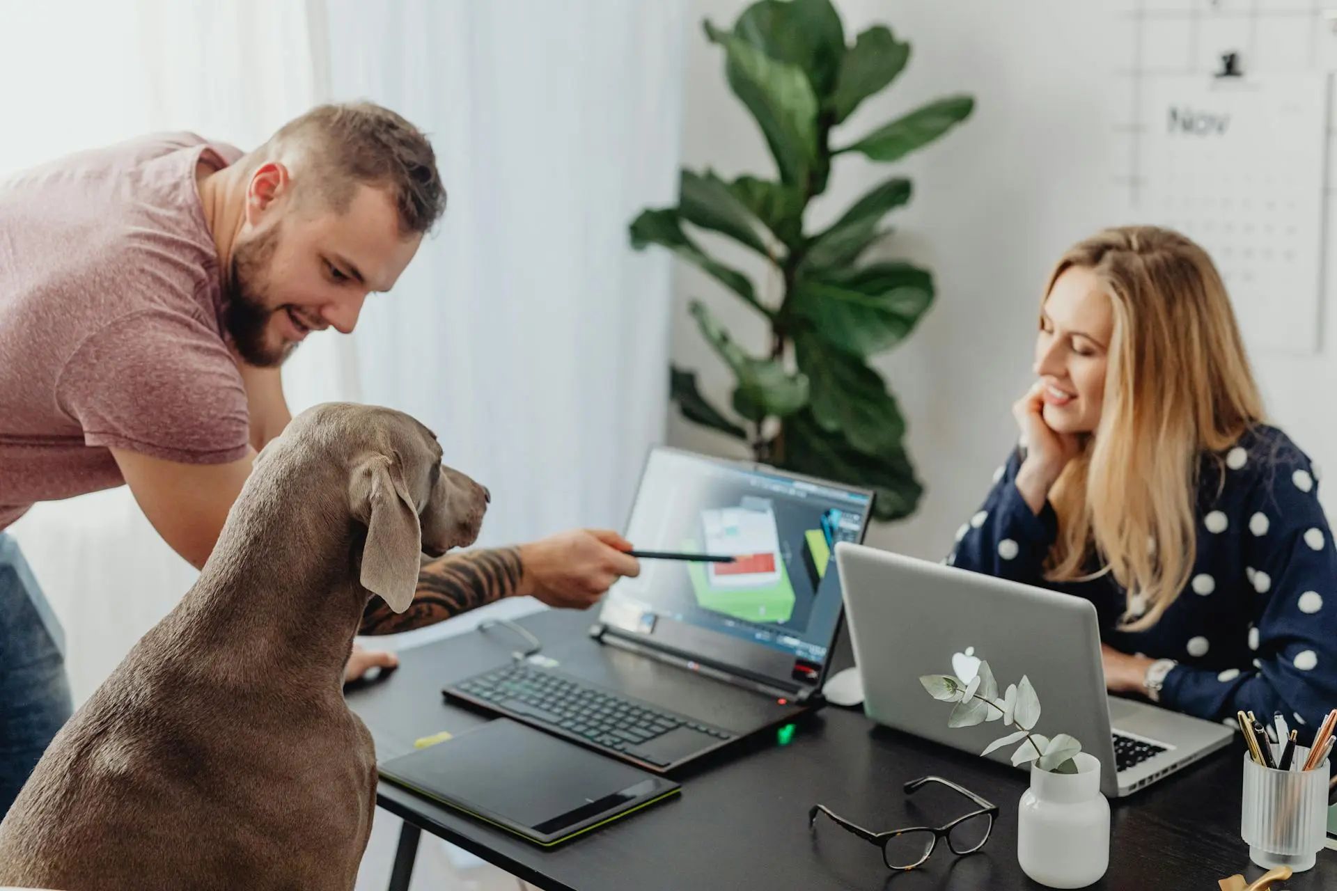 The local SEO checklist every dog business needs in 2026